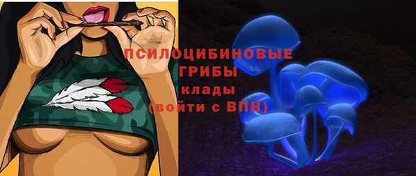 эйфоретик Алзамай