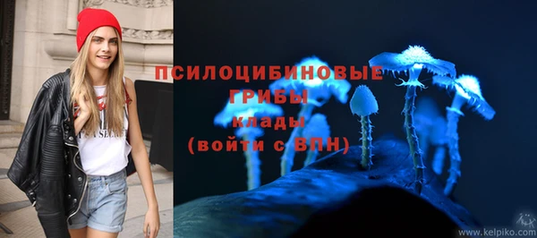 эйфоретик Алзамай