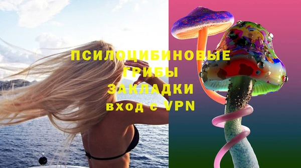 дживик Карпинск