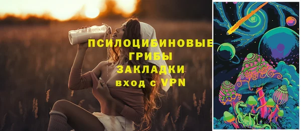 спиды Алексин