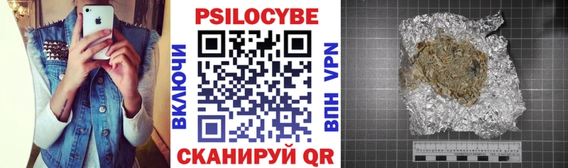 OMG зеркало  Салехард  Галлюциногенные грибы Psilocybe 