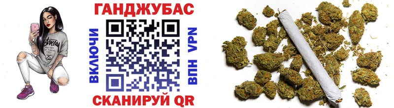Конопля сатива Салехард